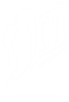 DP Logo BoW_edited_edited_edited.png