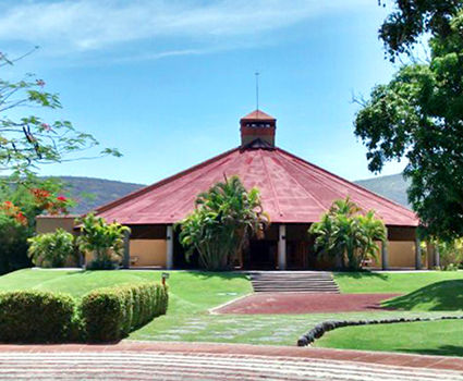 fuerte-bambu-4