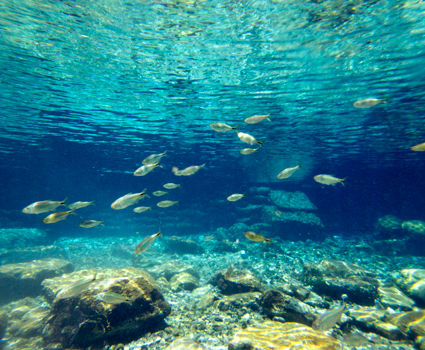 bajo_el_agua_rio_las_estacas