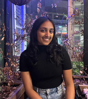 Screen Shot 2024-01-28 at 10.48.38 am.png