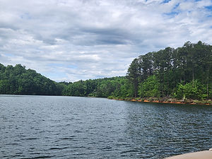 20260524_110240.jpg