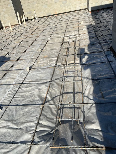 IMG_3047