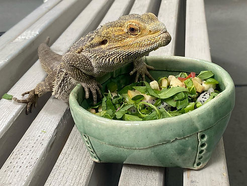 bobfood.jpg