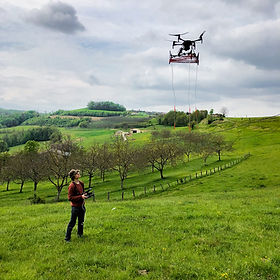 Pherodrone5.jpg