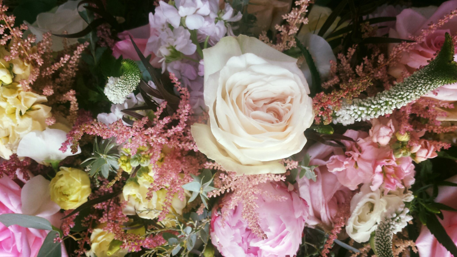 Fullscreen Page Lily's Flowers