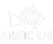 Finatic Life White_logo_alph 1024 png.pn
