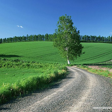 Δικαίωμα διάβασης