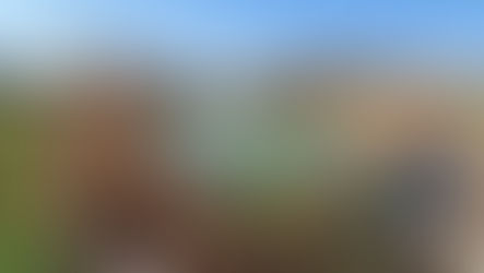 Kerti tó ásás géppel vagy kézzel – Melyik a jobb megoldás?