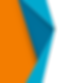 back image