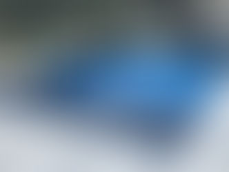 Weekly Pool Service in Venice, Venice Island, Wellen Park, Sarasota, and Manasota Key