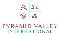 PVI PRIMARY LOGO (1).png