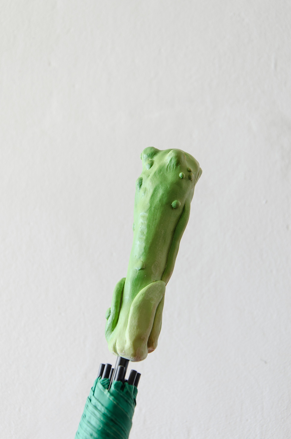 Miniaturbild: frog umbrella