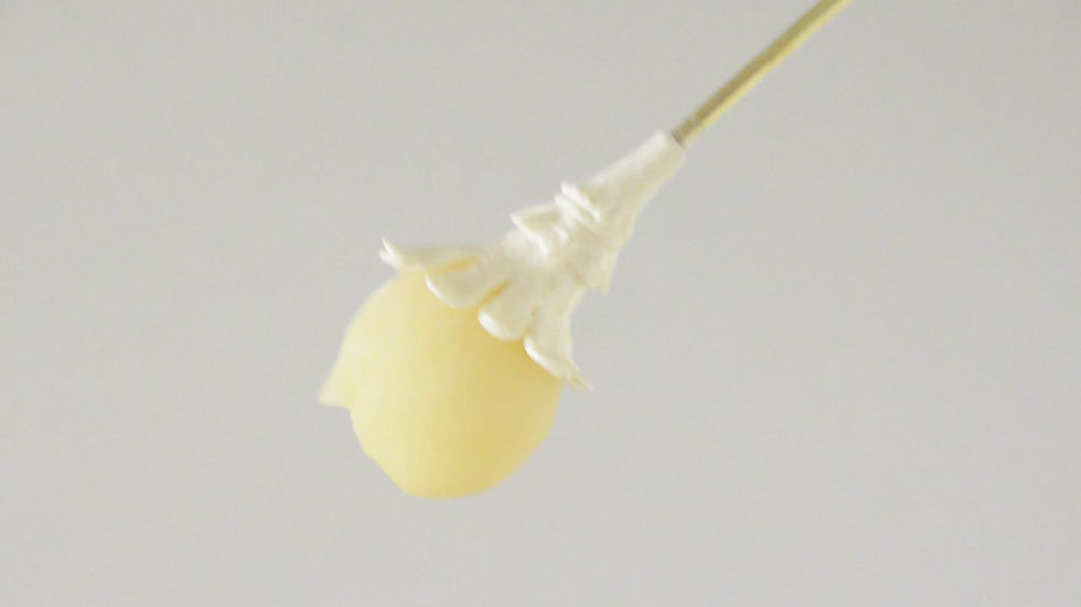 Miniaturbild: bobbin’ flowerhead