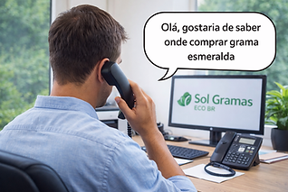 onde comprar grama esmeralda