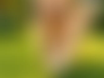 Grama Esmeralda Para Pets