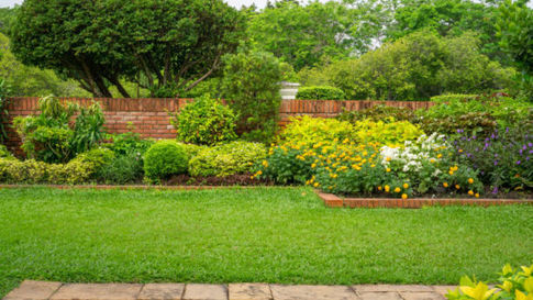 jardim com grama esmeralda