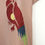 Thumbnail: Wild parrot printed summer shirt