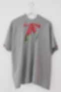 Thumbnail: Firebird printed Grey throw on