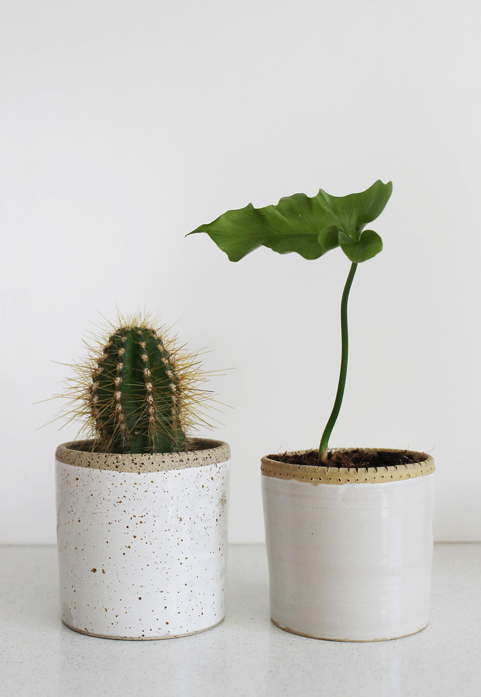 Thumbnail: My Handmade small Plant Pot