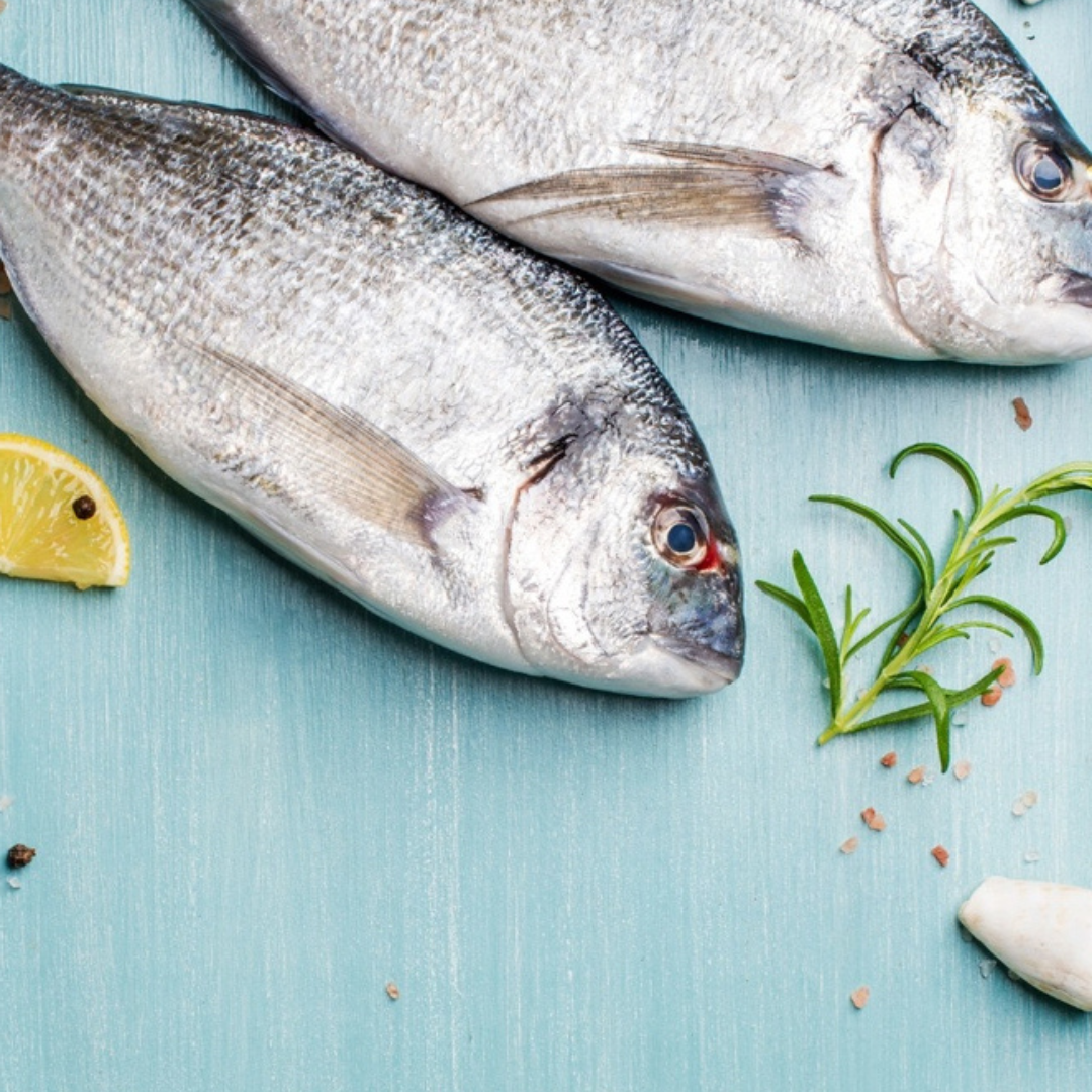 Fish To Go