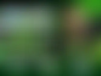 Kunal Shah WhatsApp head