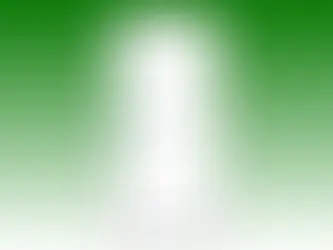 Whatsapp Online Contacts