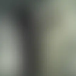 Google Pixel 11