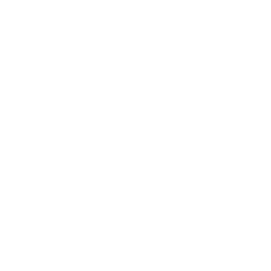 white AndroBranch logo