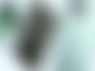 OnePlus N6