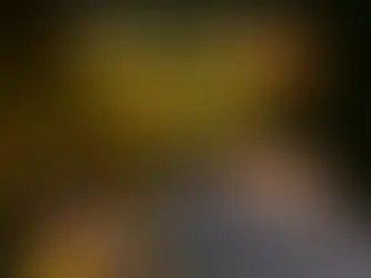 POCO X8 Pro Series
