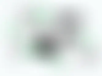 WhatsApp Anti-Scam Tools