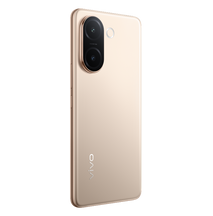 Vivo V60e
