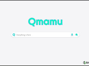 Exploring India's Homegrown Google Alternative