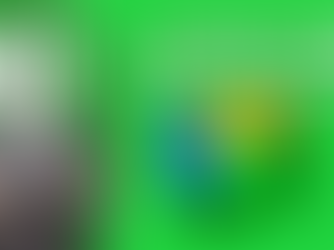 Unveiling the Safety and Security Features of Google Chat