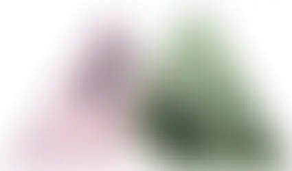 Vivo V80 Lite 5G