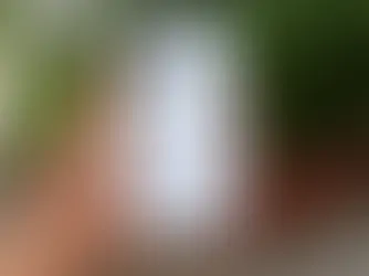 OPPO Reno 16