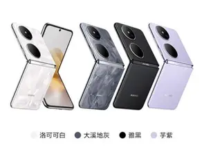 Huawei Pocket 2 Premium Edition