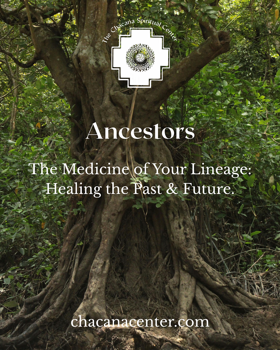 The Medicine of Your Lineage