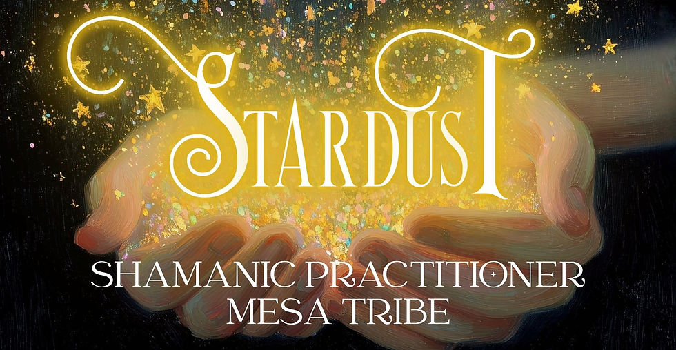 Mesa Shamanic Practitioner Training: Stardust Tribe - E1