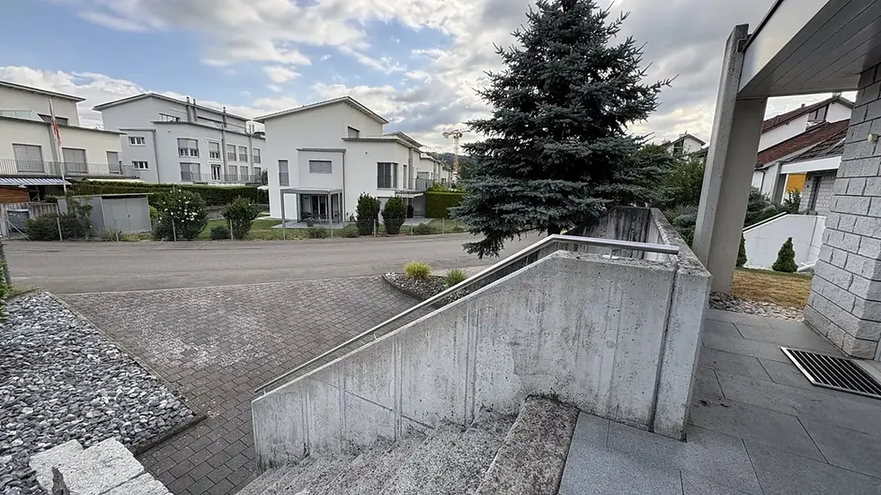 Gesamtansicht der Eingangstreppe mit auf der Brüstung montiertem Chromstahl-Handlauf in Bremgarten AG.