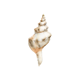 9B2F38EA-D048-4EE7-B068-155566CA51CE.png