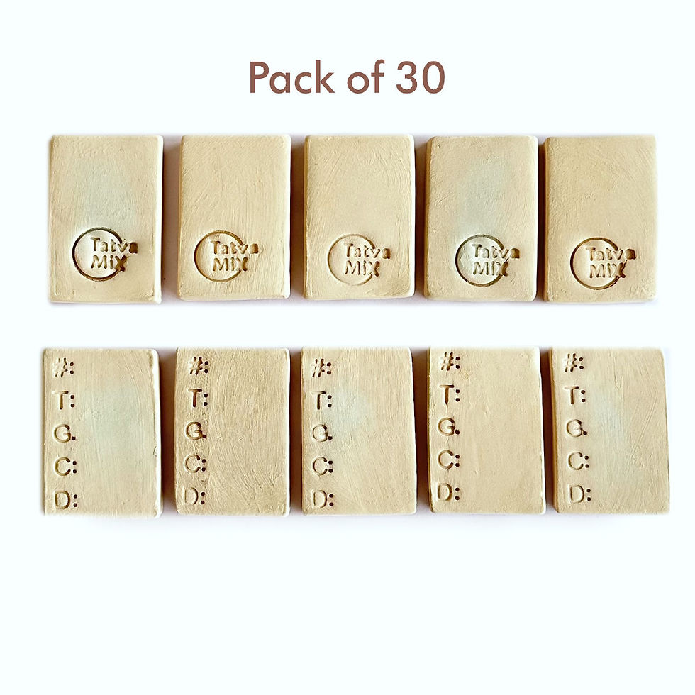 Thumbnail: TatvaMix Bisque Test Tiles