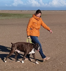 chien éducatrice comportementaliste éducateur éducation canin chien positive dunkerque sandra