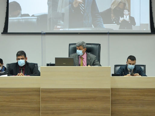 Aprovado “Cavalo de Lata” para trabalhadores da tração animal