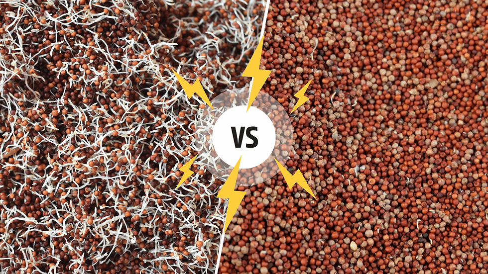 Sprouted Ragi vs Regular Ragi