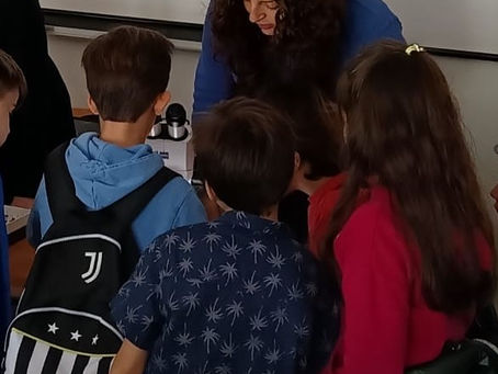 Insects for the kids