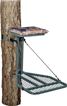 7395254.png