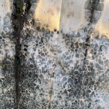 Detail Within