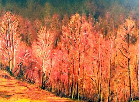 Exposición Fuego de nuestros bosques