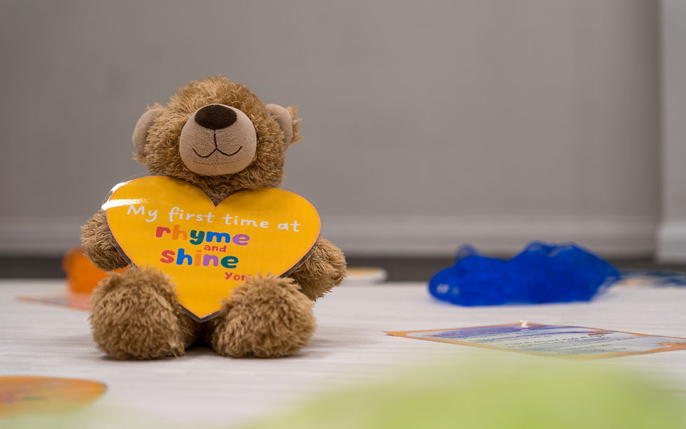 Teddy bear holding a Rhyme and Shine baby class york sign